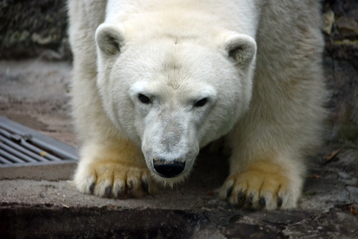 a0151913_0546100.jpg
