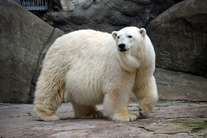 a0151913_093244.jpg