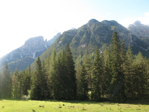 b0103915_142562.jpg