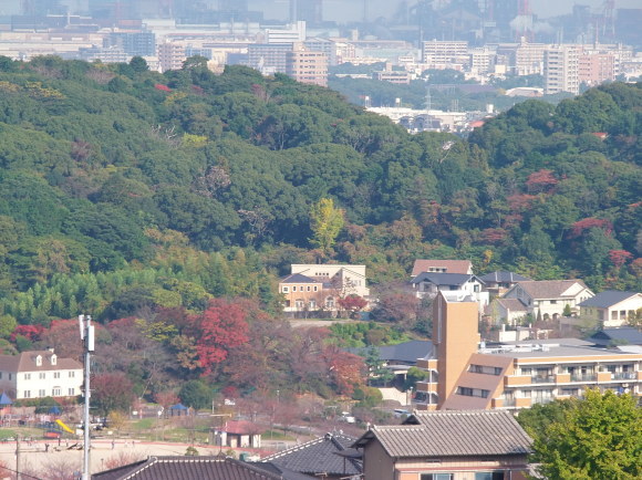 a0125419_10362019.jpg