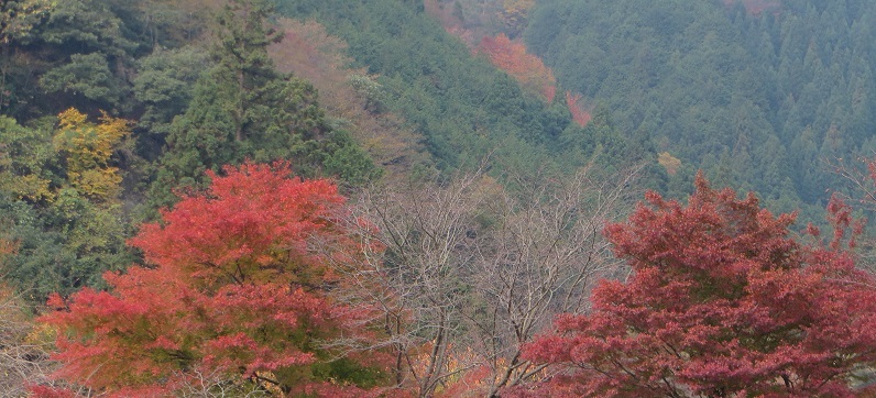 c0280322_11390067.jpg
