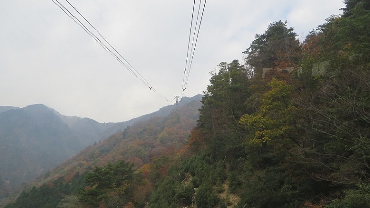 c0280322_11471425.jpg
