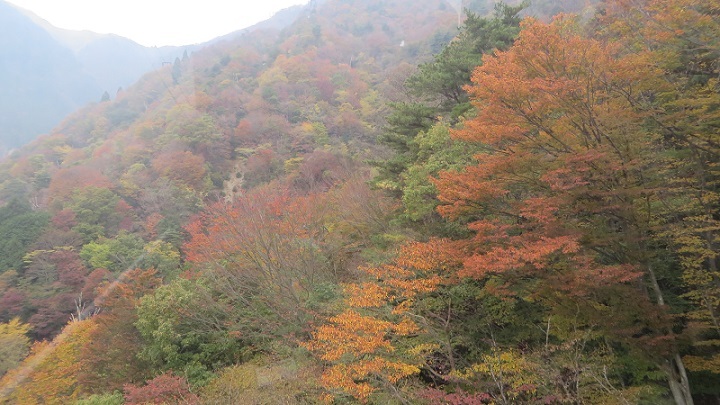c0280322_11472990.jpg