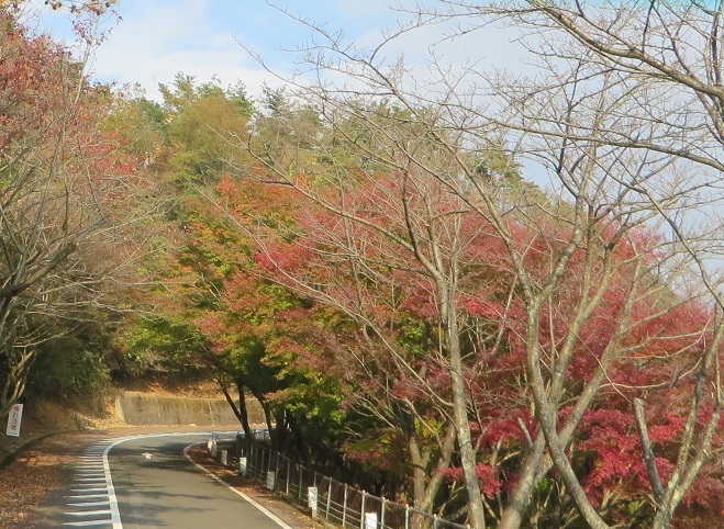 c0280322_11535209.jpg