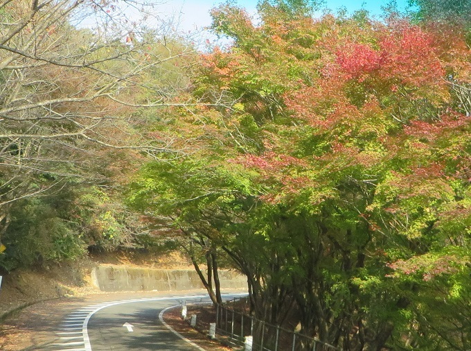 c0280322_11541106.jpg