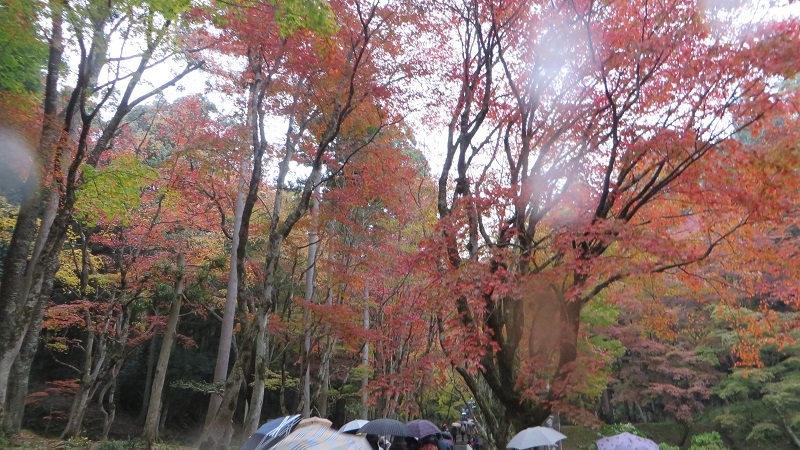 c0280322_12054760.jpg