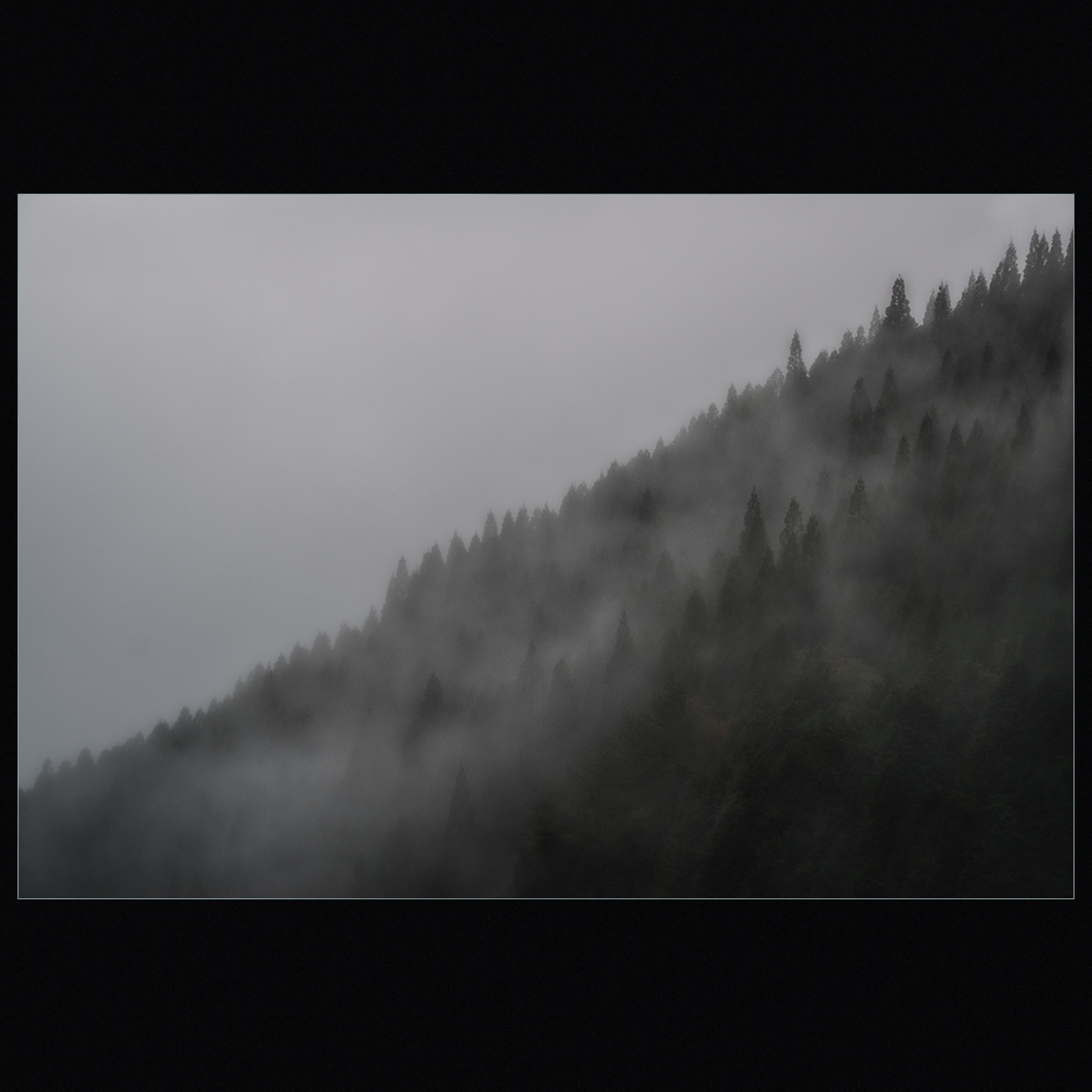 d0004832_10124138.jpg