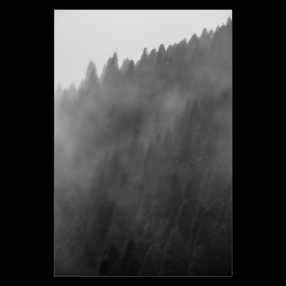 d0004832_21365759.jpg