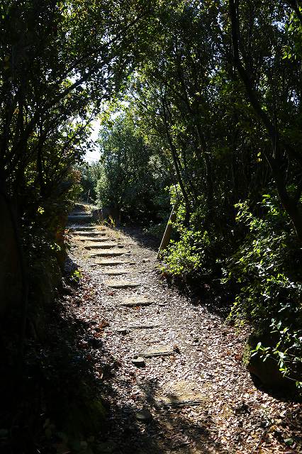 a0242438_18351177.jpg