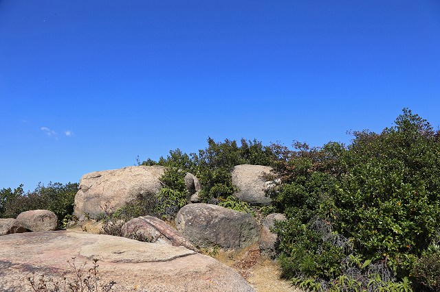 a0242438_18353916.jpg