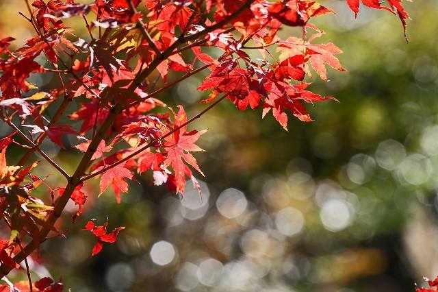 a0242438_18361465.jpg