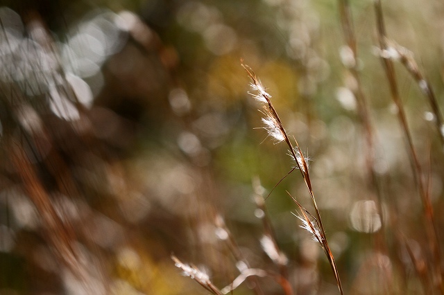 a0242438_1836185.jpg