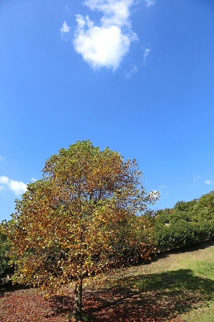 a0242438_18363240.jpg
