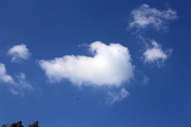 a0242438_1836431.jpg