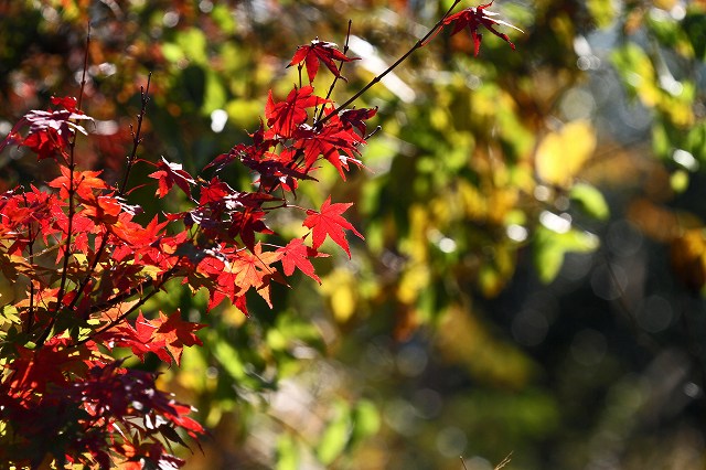 a0242438_1836917.jpg