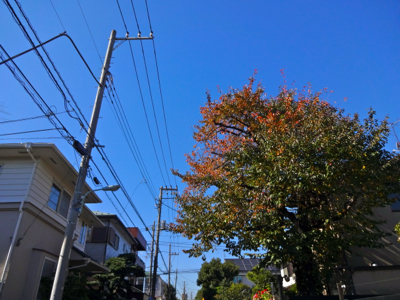 f0141840_23565700.jpg