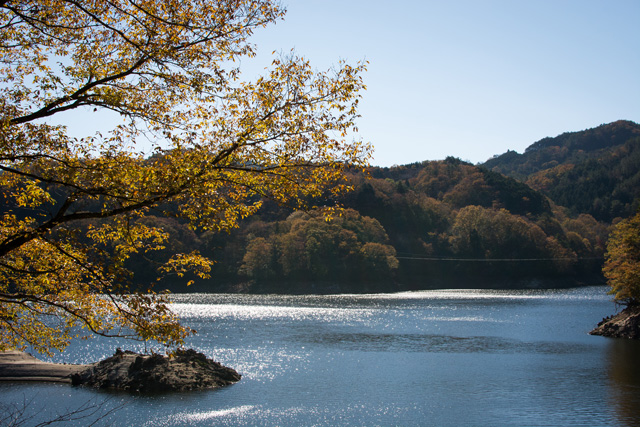 d0164443_2121561.jpg