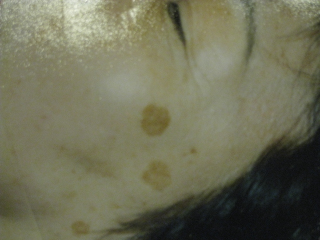 c0177951_12254826.jpg