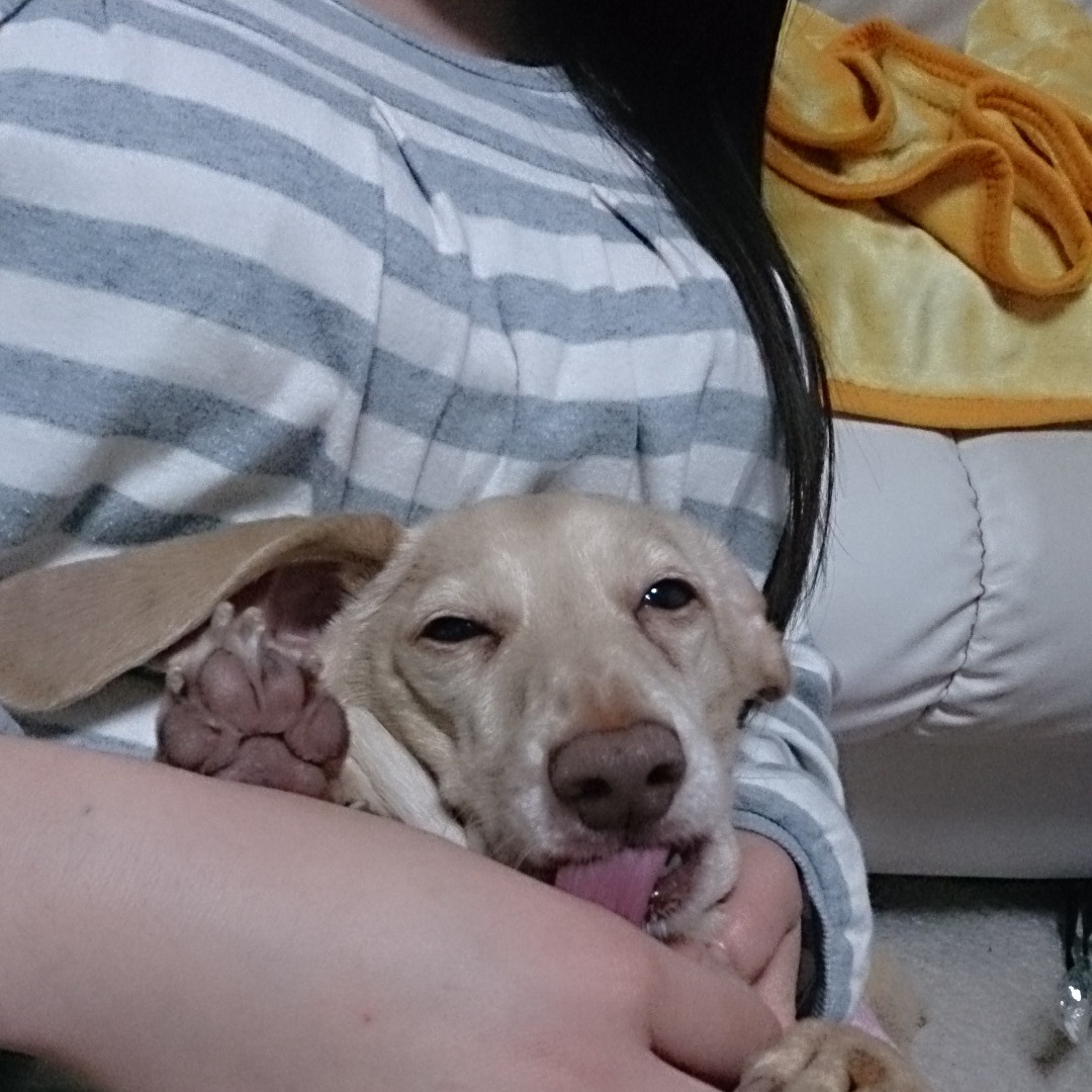 c0245751_12194676.jpeg