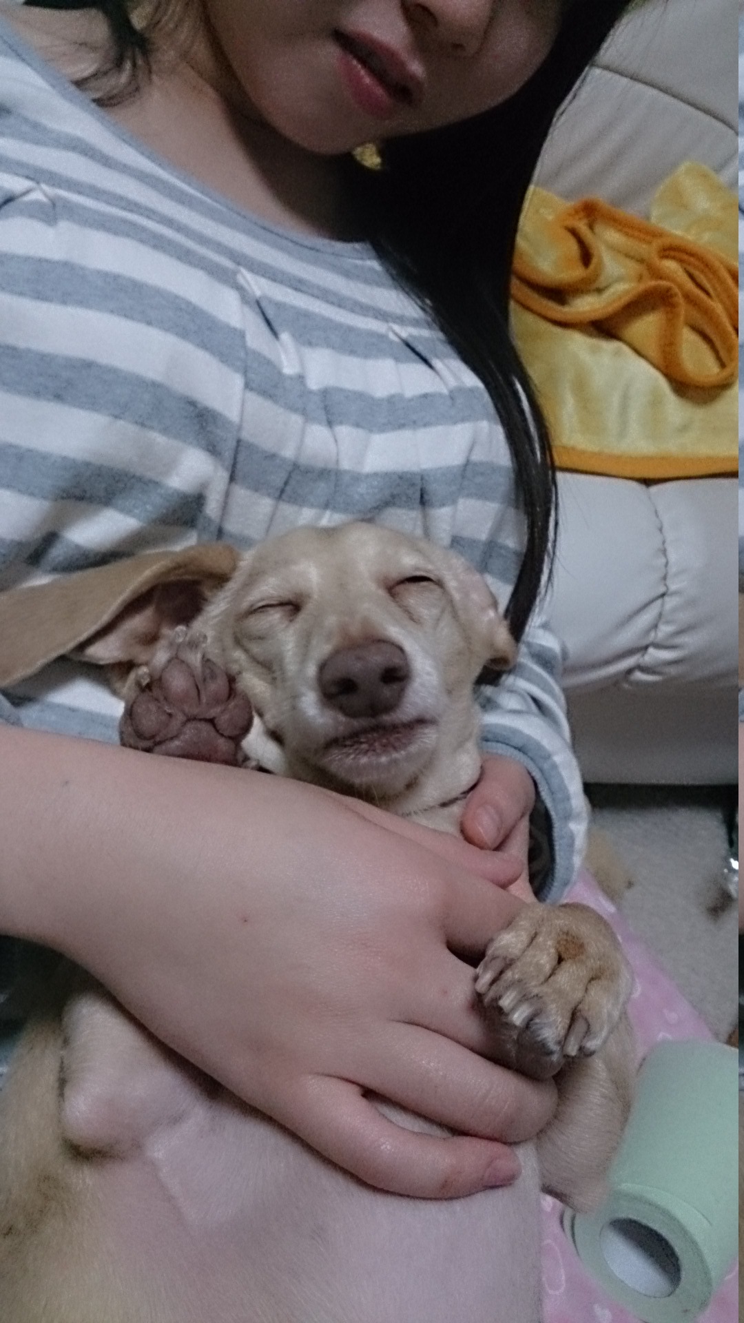 c0245751_12245550.jpeg