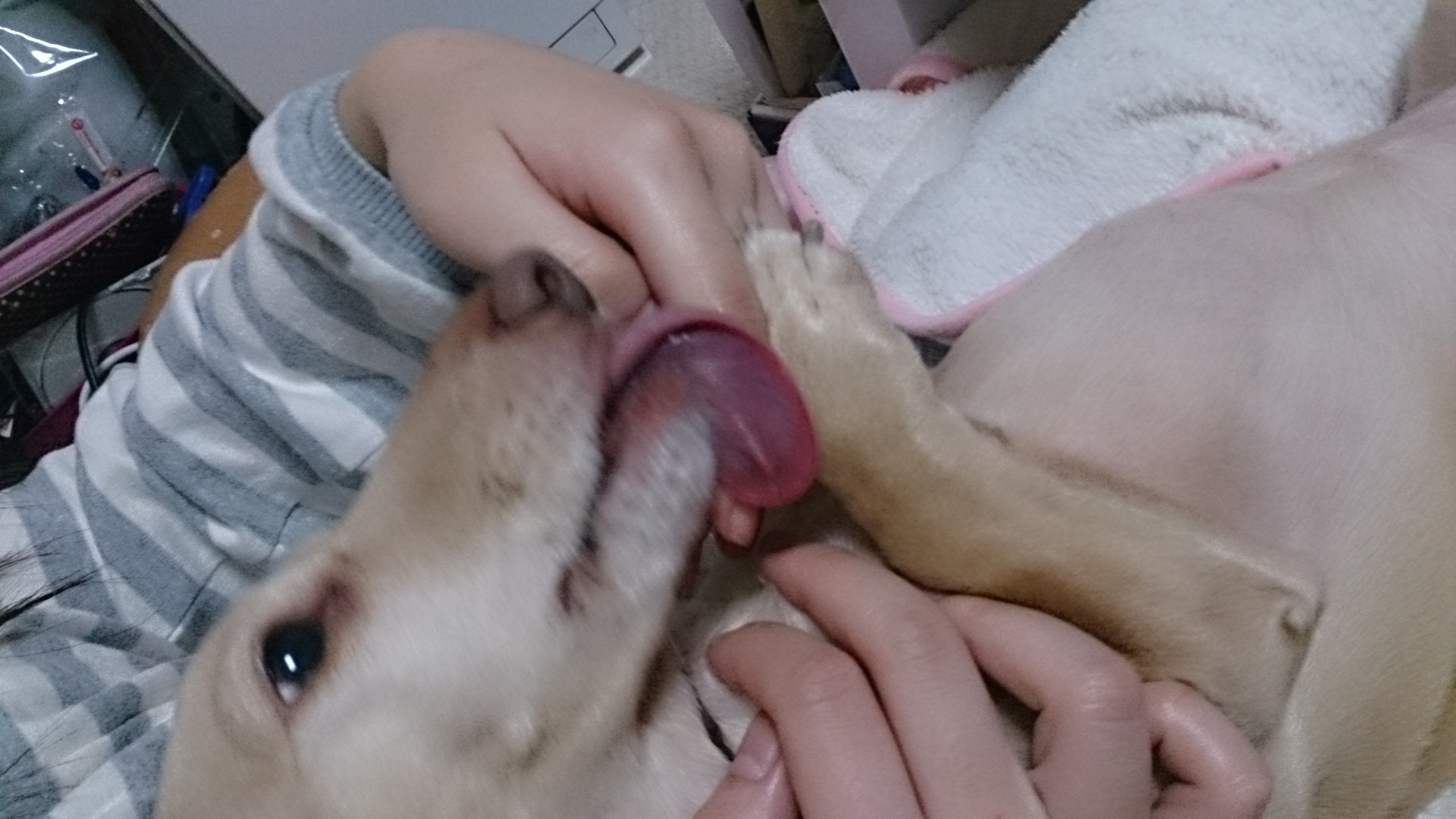 c0245751_12251843.jpeg