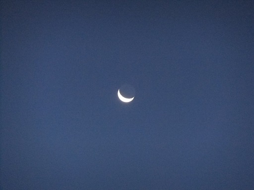 f0055956_8242571.jpg