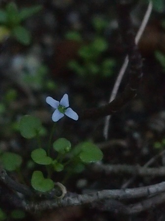 b0246758_22133596.jpg