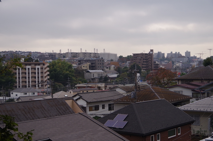 d0031171_841244.jpg