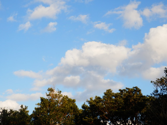 e0292172_2133847.jpg