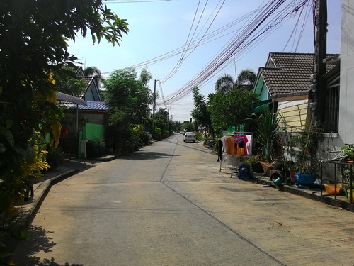 a0002177_149327.jpg