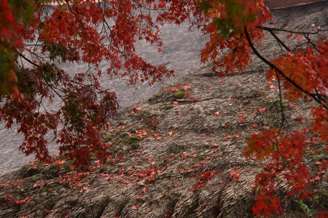 d0126577_207424.jpg