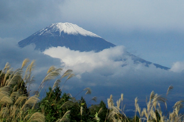 d0126577_208830.jpg