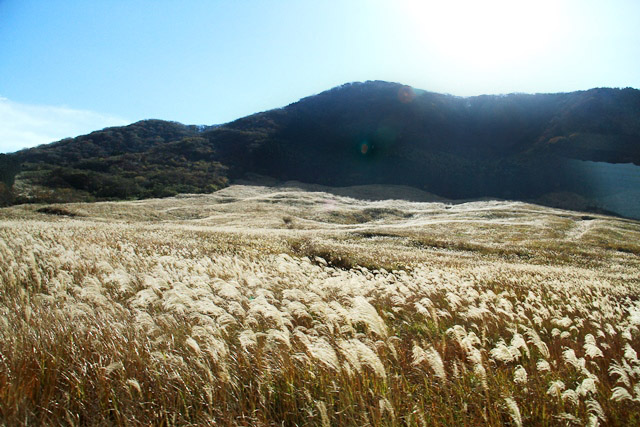 d0126577_2095570.jpg