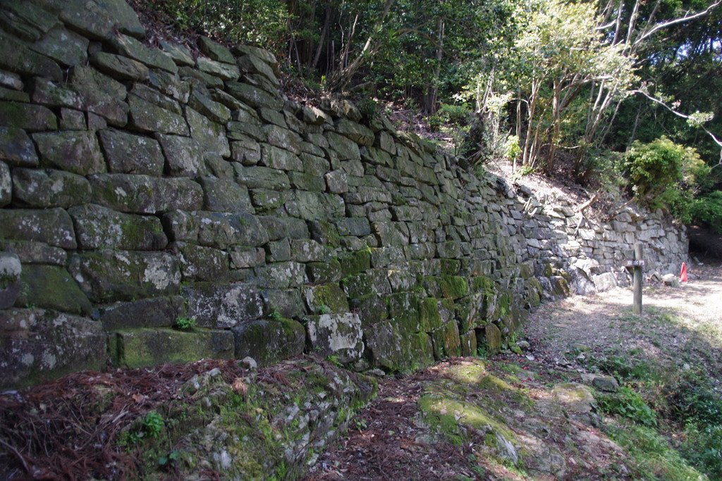 d0061579_13154143.jpg