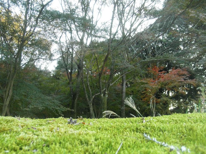 f0101679_5355234.jpg