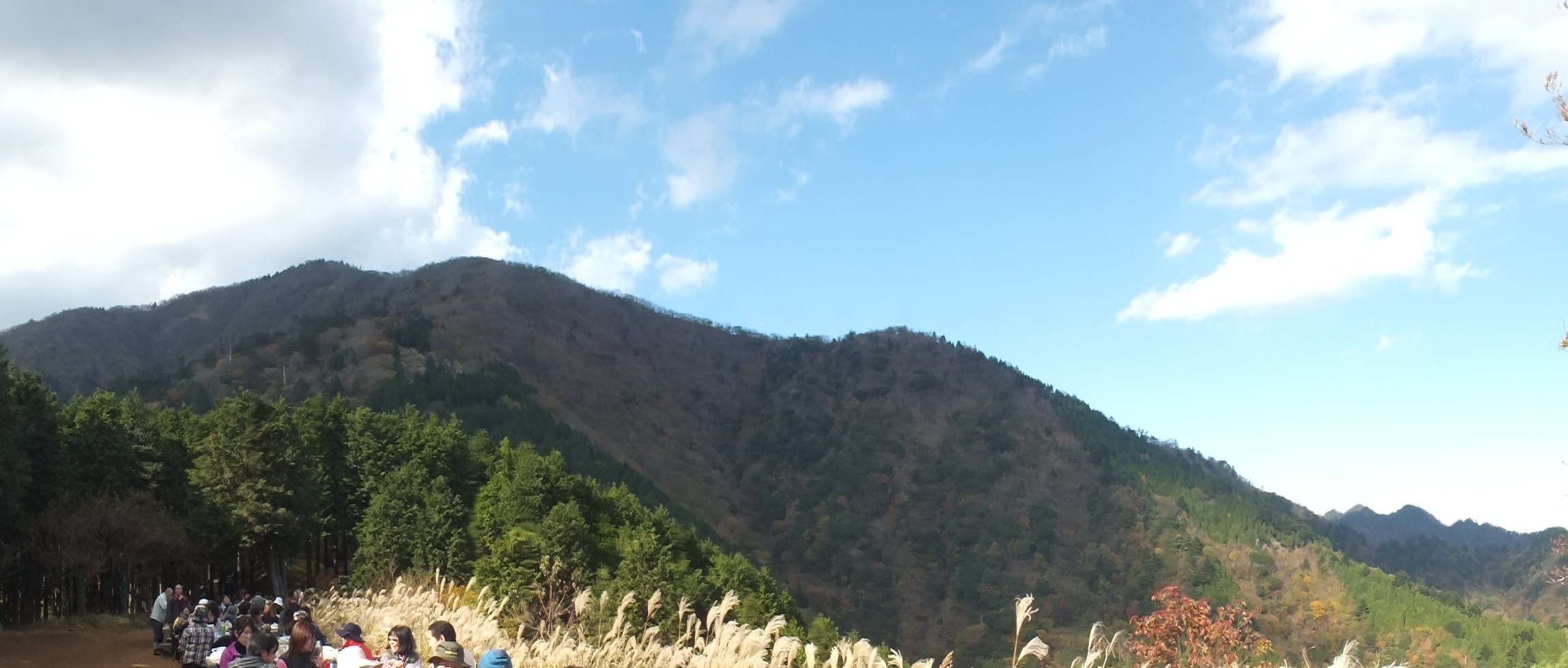 e0145782_17173039.jpg