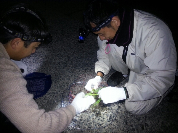 f0183484_13564356.jpg