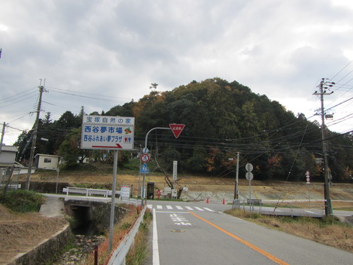 a0251786_19274738.jpg