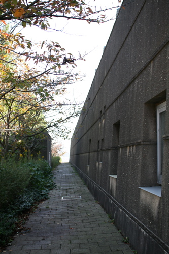 f0222387_21383365.jpg