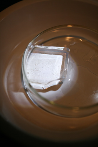 f0222387_21384530.jpg