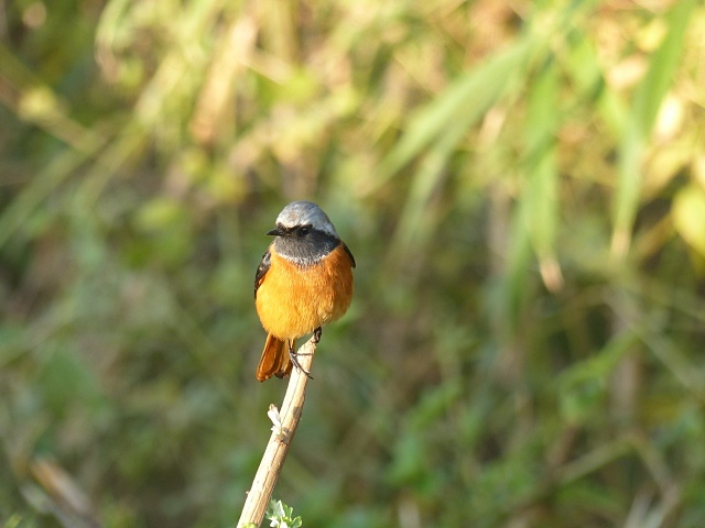f0357487_21302061.jpg