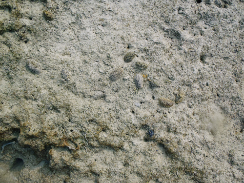 f0338188_1141484.jpg