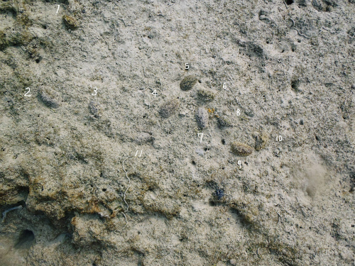 f0338188_11545.jpg