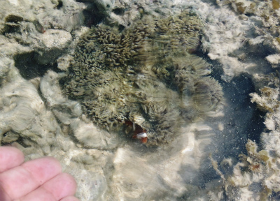 f0338188_117119.jpg