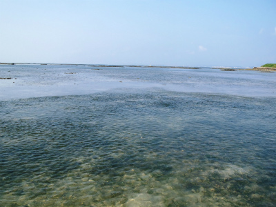 f0338188_118822.jpg