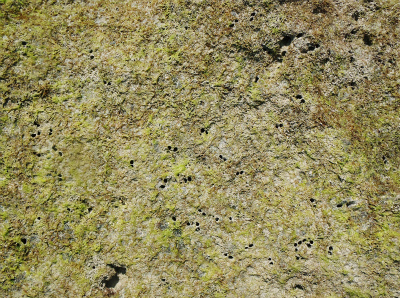 f0338188_12162479.jpg