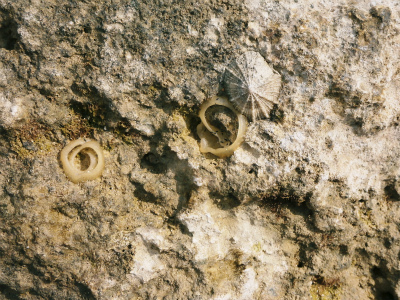 f0338188_12203231.jpg