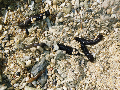 f0338188_12223281.jpg