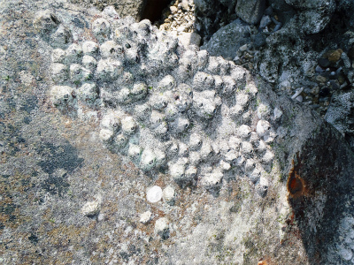 f0338188_1224337.jpg