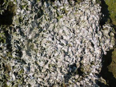 f0338188_1224586.jpg